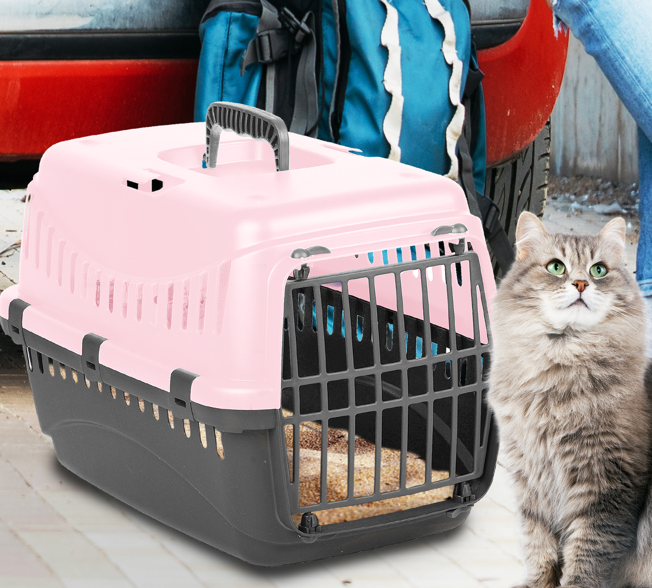 cat carriers travel large