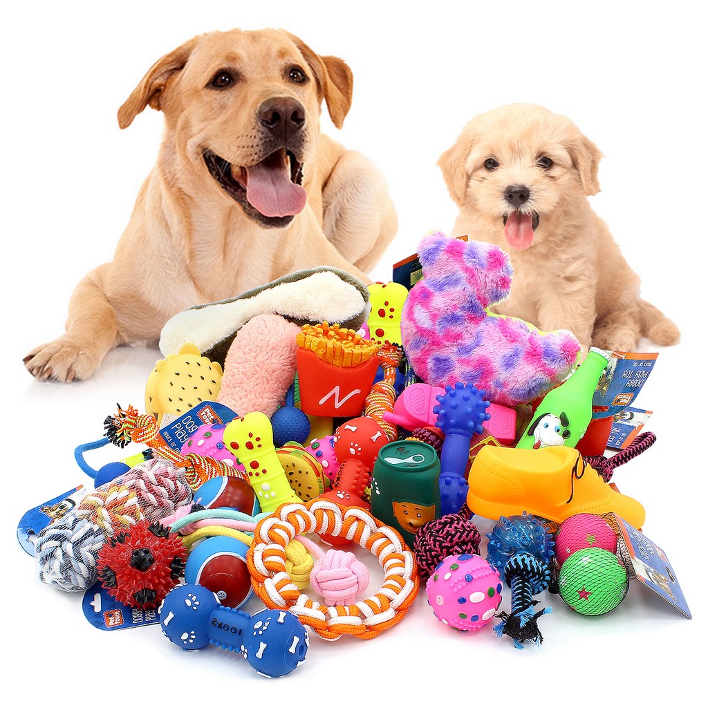 Assorted Dog Puppy Pet Toys Ropes Chew Squeaky Fetch Balls Training Play Bundle eBay